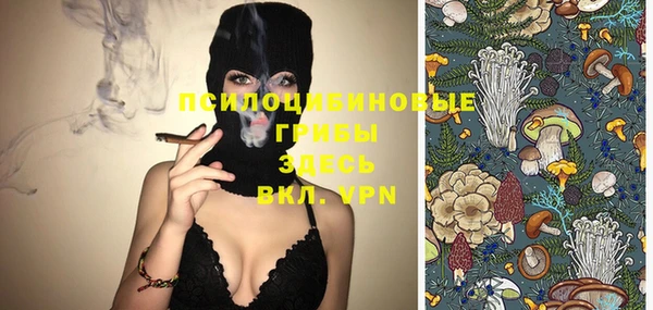 прущие крисы Ладушкин