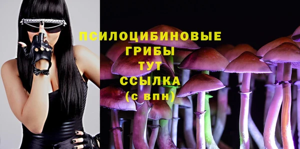 кокаин премиум Лабытнанги