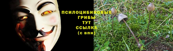 прущие крисы Ладушкин